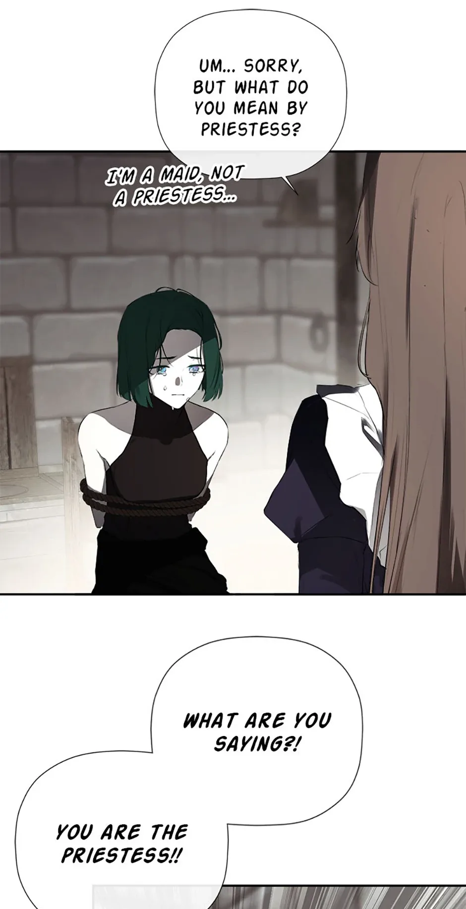 I Mistook the Hidden Identity of the Sub Male Lead Chapter 74 page 29