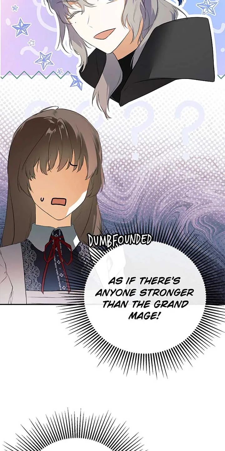 I Mistook the Hidden Identity of the Sub Male Lead Chapter 72 page 29
