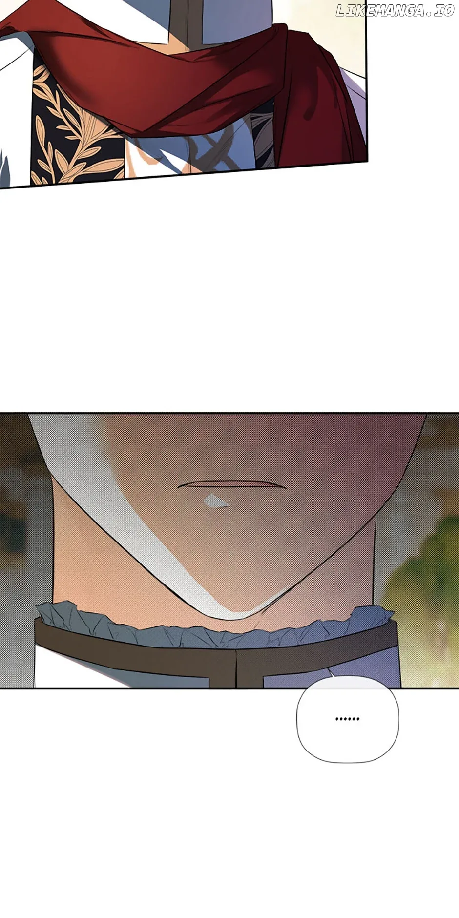 I Mistook the Hidden Identity of the Sub Male Lead Chapter 71 page 11