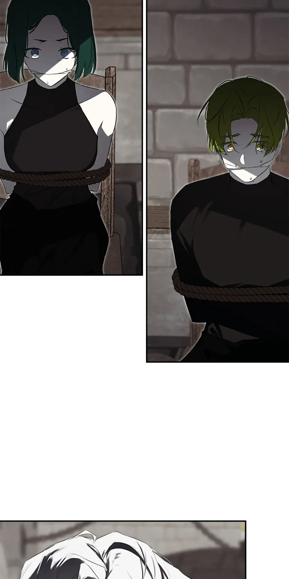 I Mistook the Hidden Identity of the Sub Male Lead Chapter 74 page 5