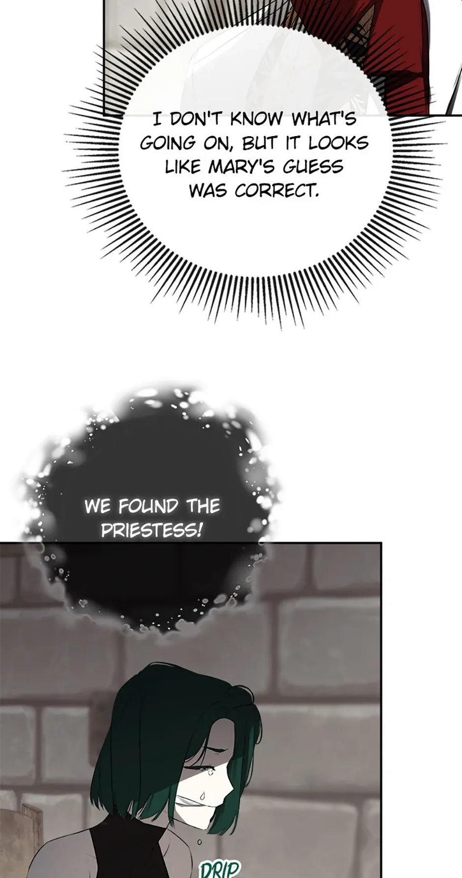 I Mistook the Hidden Identity of the Sub Male Lead Chapter 74 page 25