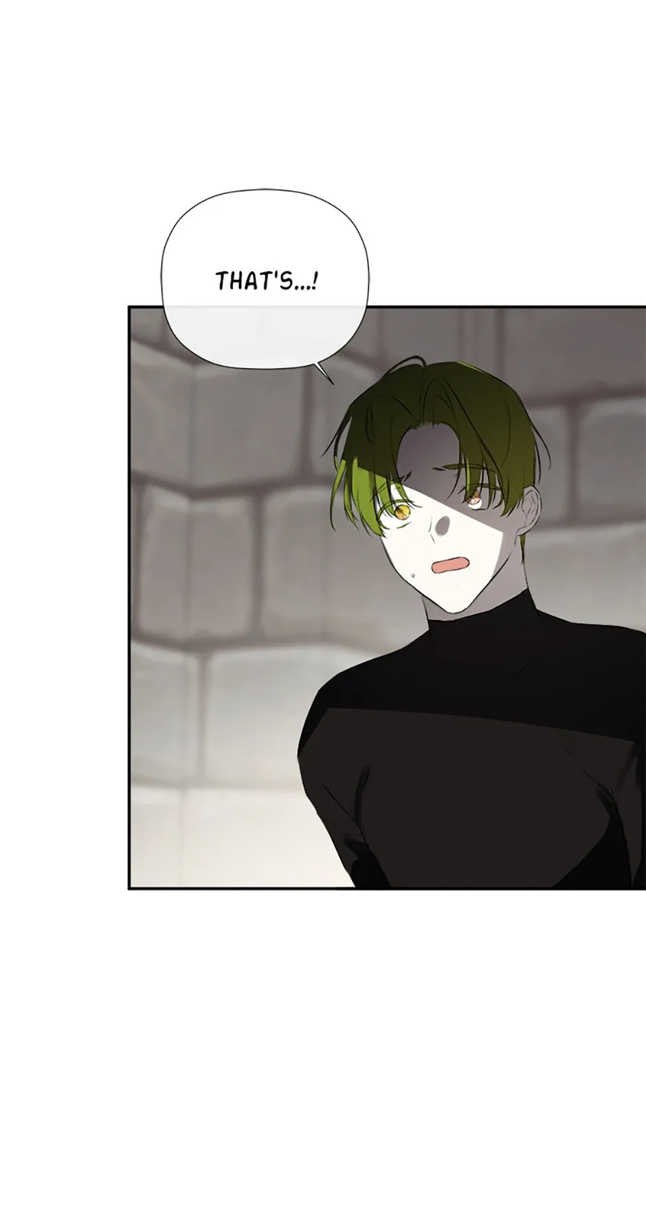 I Mistook the Hidden Identity of the Sub Male Lead Chapter 74 page 39