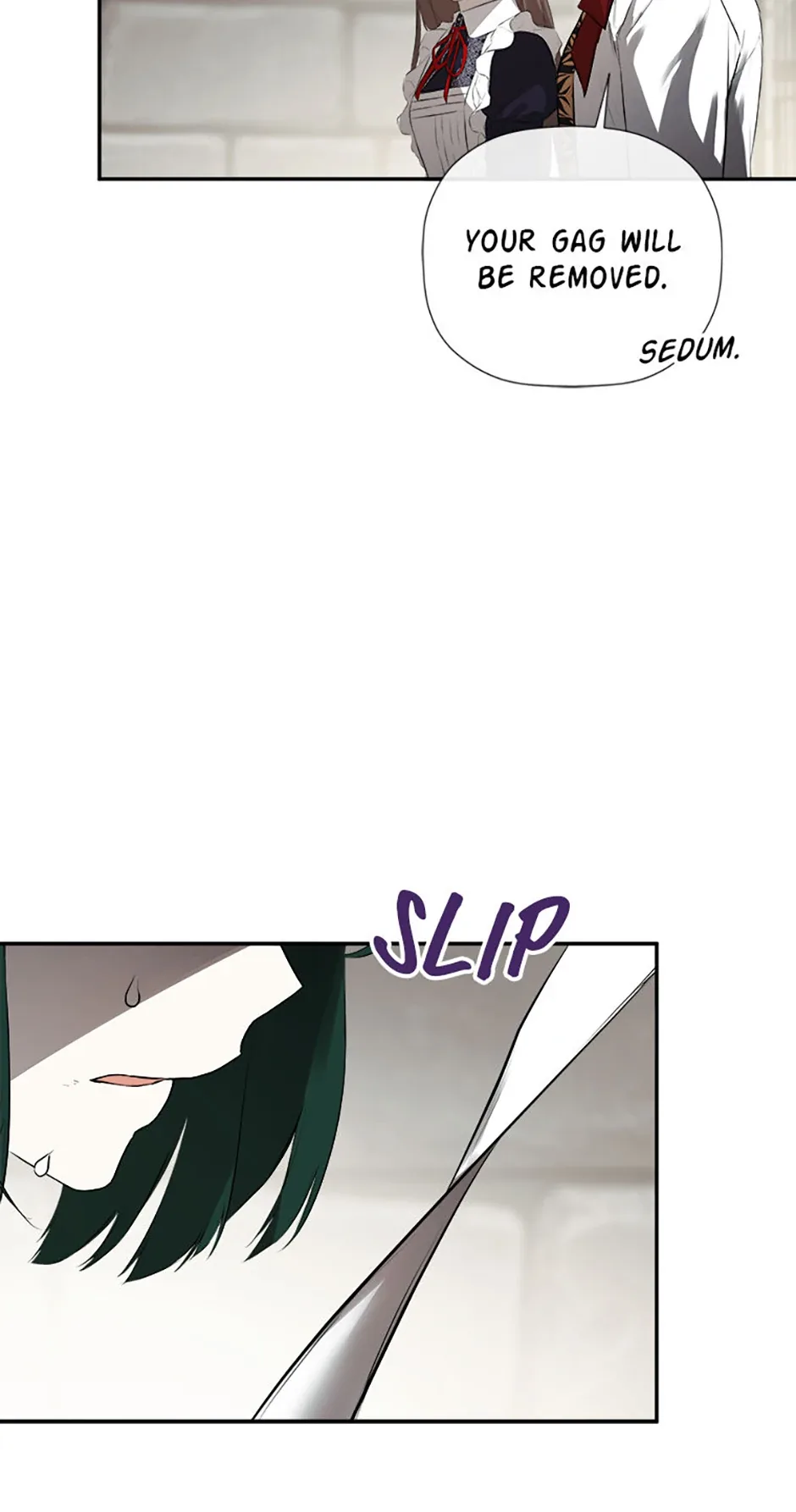 I Mistook the Hidden Identity of the Sub Male Lead Chapter 74 page 27