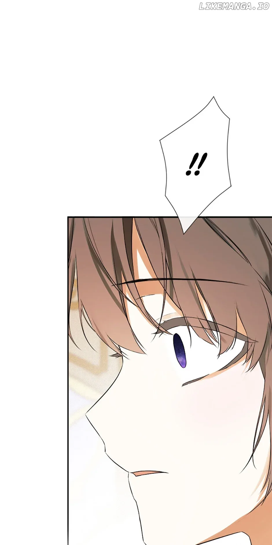 I Mistook the Hidden Identity of the Sub Male Lead Chapter 71 page 13