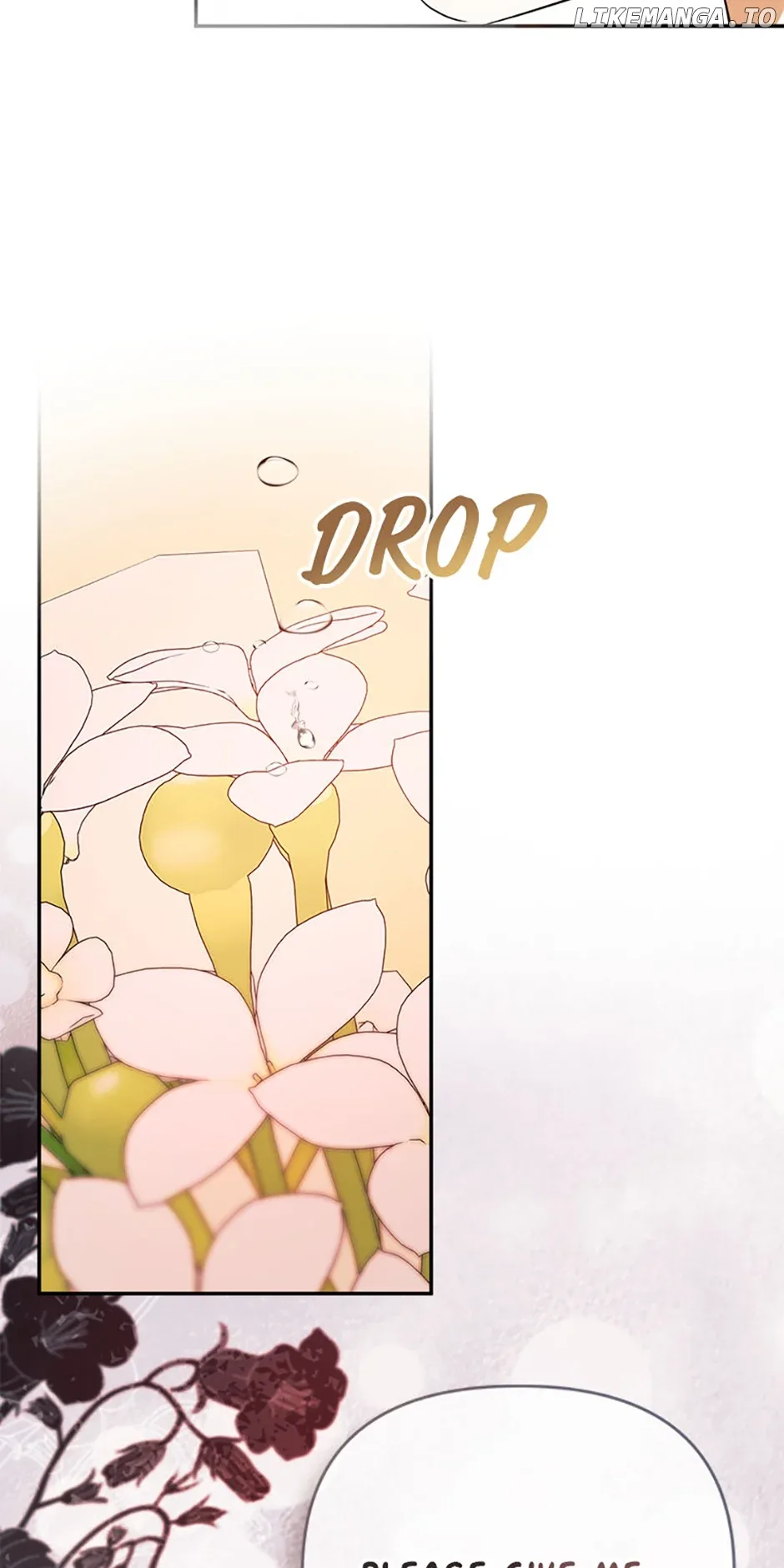 I Mistook the Hidden Identity of the Sub Male Lead Chapter 71 page 14