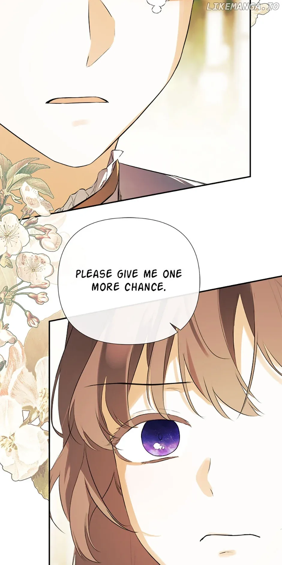 I Mistook the Hidden Identity of the Sub Male Lead Chapter 71 page 24