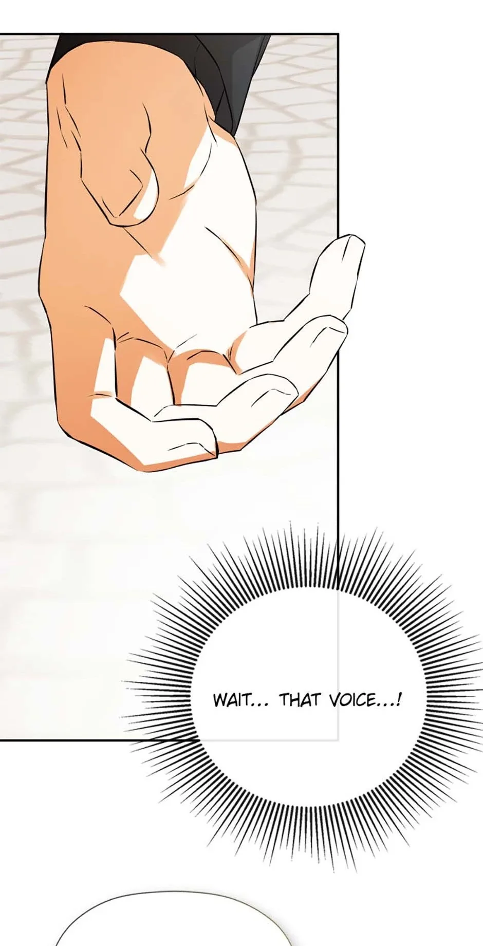 I Mistook the Hidden Identity of the Sub Male Lead Chapter 77 page 69
