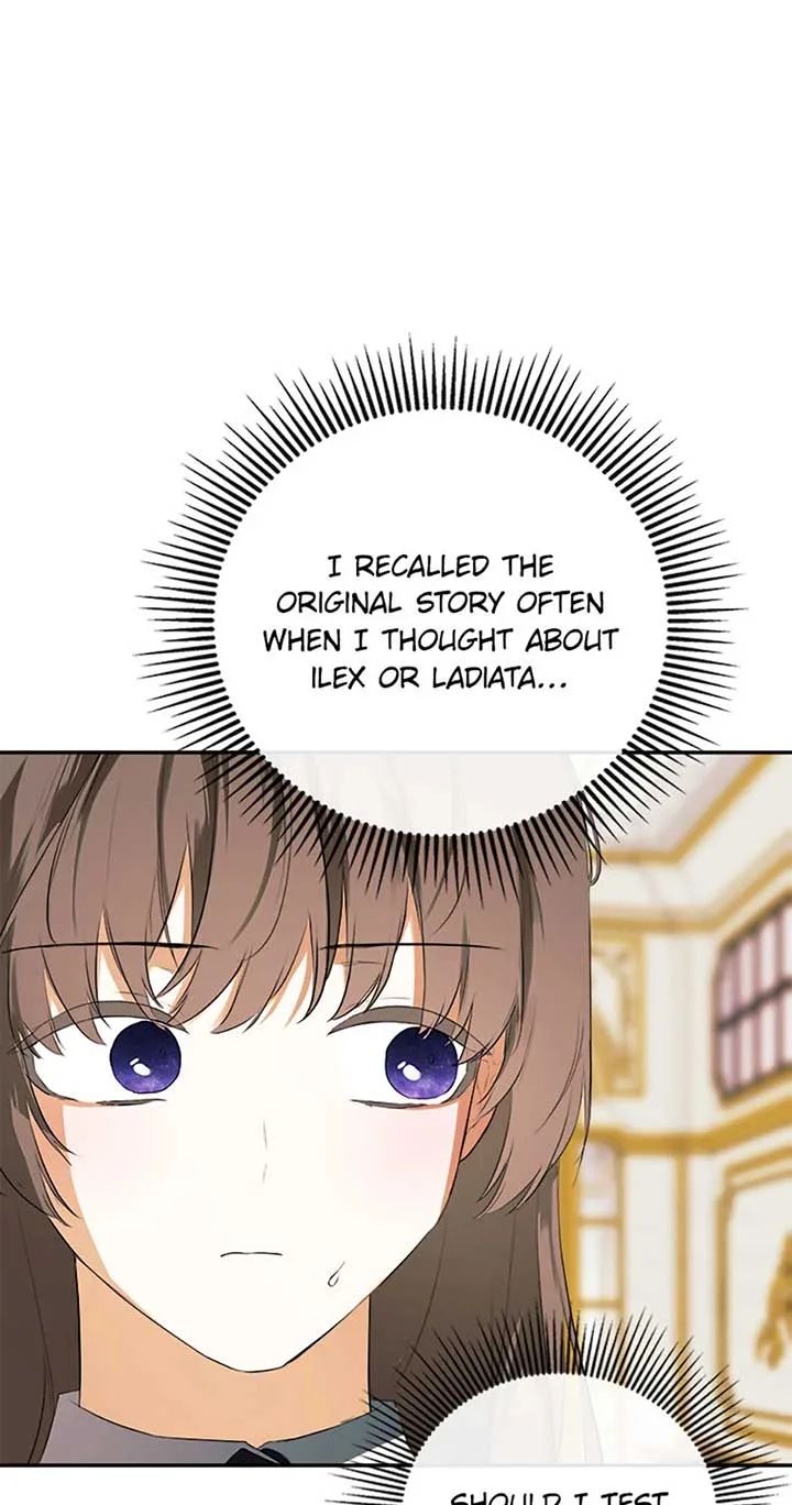 I Mistook the Hidden Identity of the Sub Male Lead Chapter 72 page 65