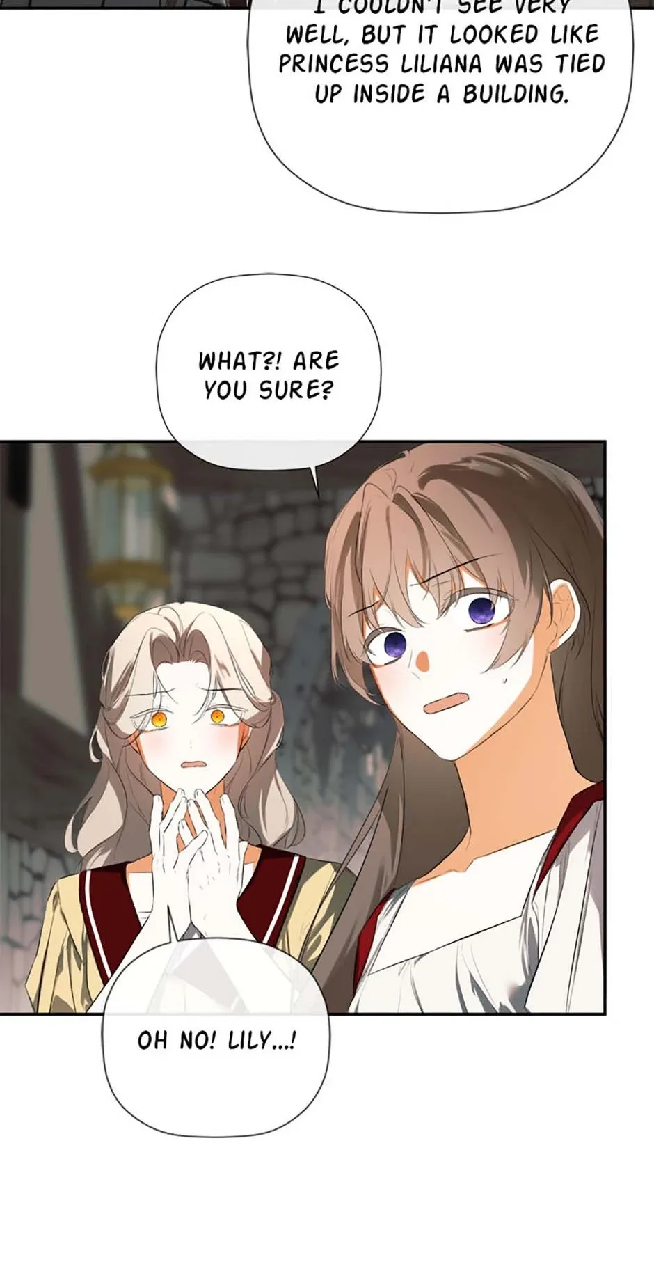 I Mistook the Hidden Identity of the Sub Male Lead Chapter 78 page 33