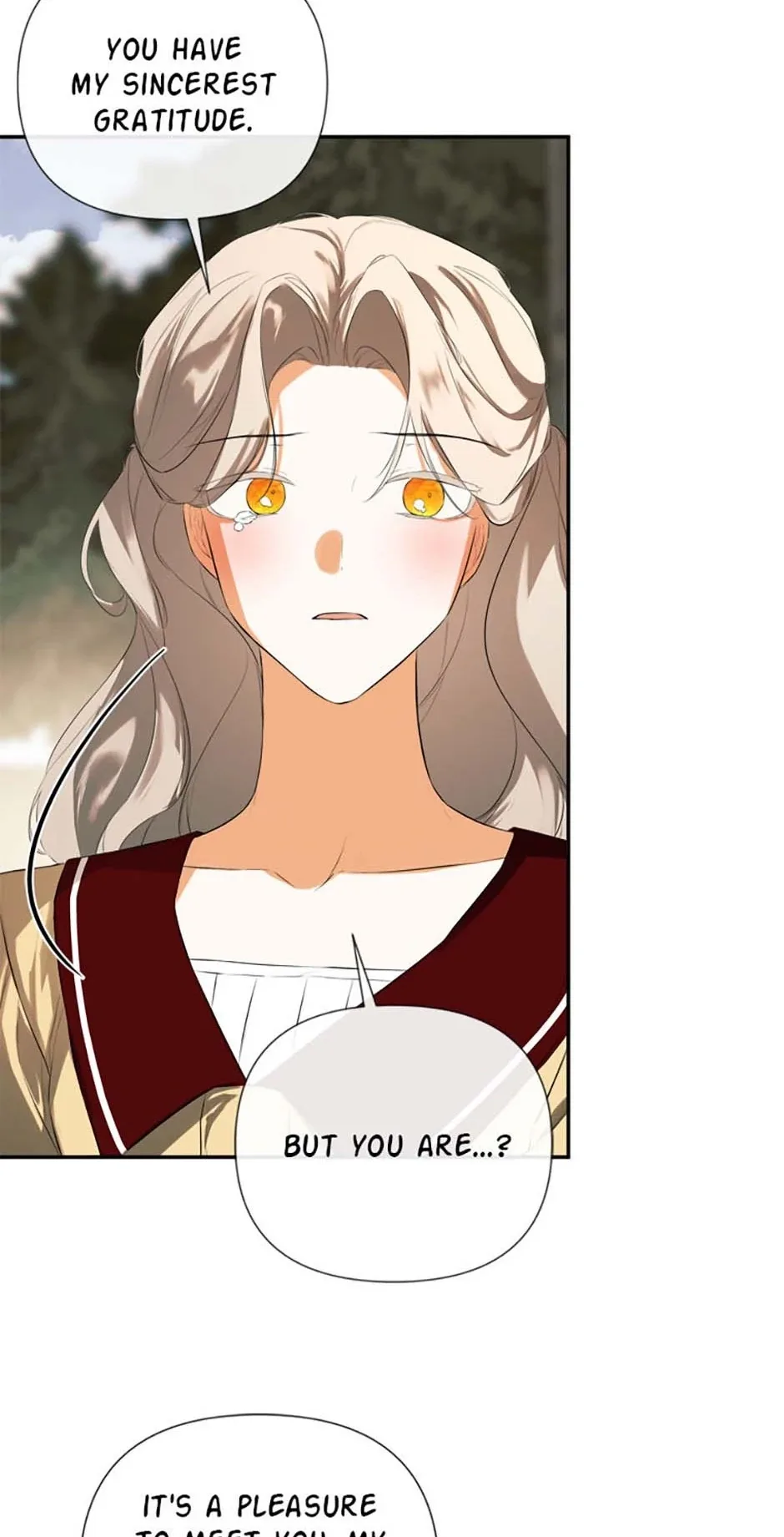 I Mistook the Hidden Identity of the Sub Male Lead Chapter 79 page 14