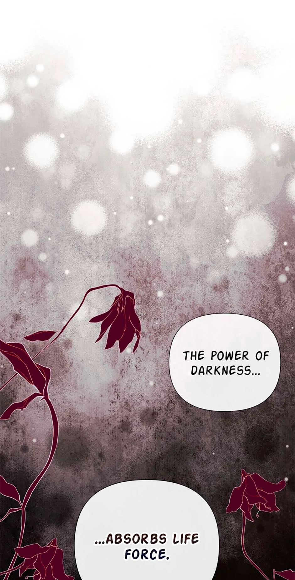 I Mistook the Hidden Identity of the Sub Male Lead Chapter 79 page 51