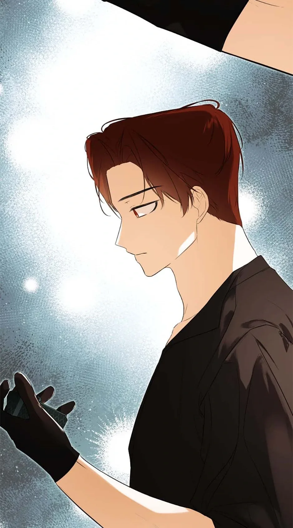 I Mistook the Hidden Identity of the Sub Male Lead Chapter 82 page 5