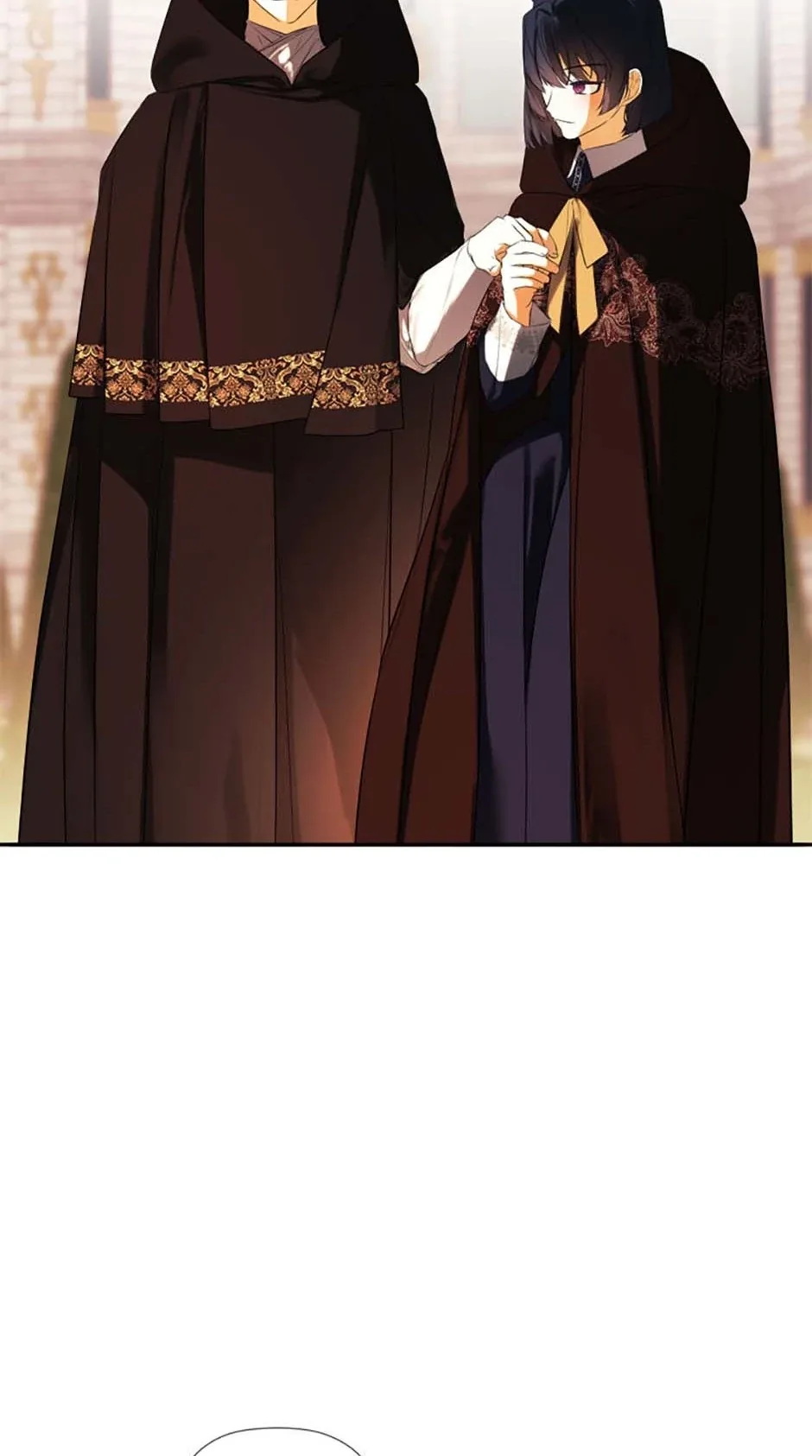 I Mistook the Hidden Identity of the Sub Male Lead Chapter 85 page 29