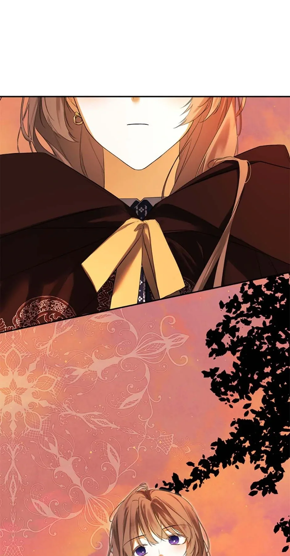 I Mistook the Hidden Identity of the Sub Male Lead Chapter 85 page 3