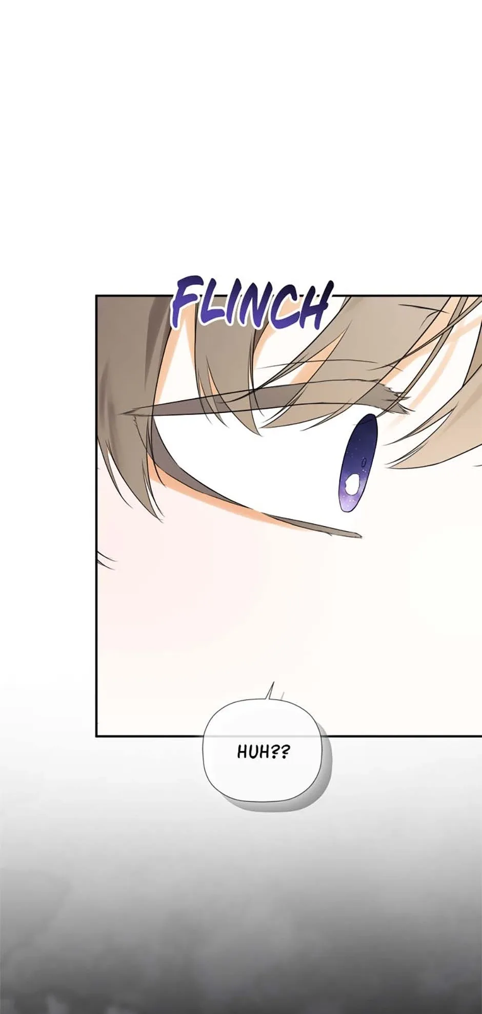 I Mistook the Hidden Identity of the Sub Male Lead Chapter 87 page 72