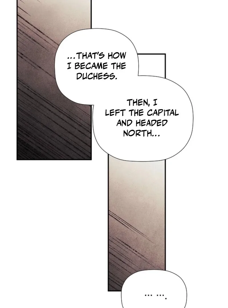 I Mistook the Hidden Identity of the Sub Male Lead Chapter 93 page 44