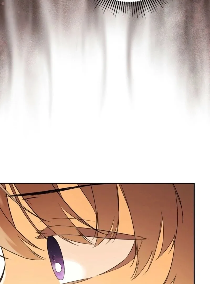 I Mistook the Hidden Identity of the Sub Male Lead Chapter 93 page 75