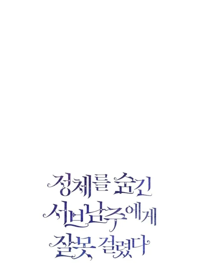 I Mistook the Hidden Identity of the Sub Male Lead Chapter 93 page 33