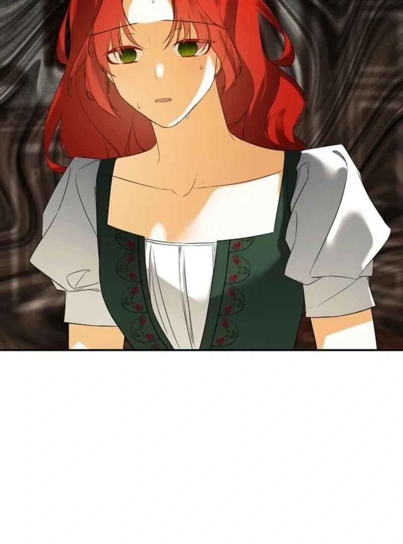 I Mistook the Hidden Identity of the Sub Male Lead Chapter 93 page 9