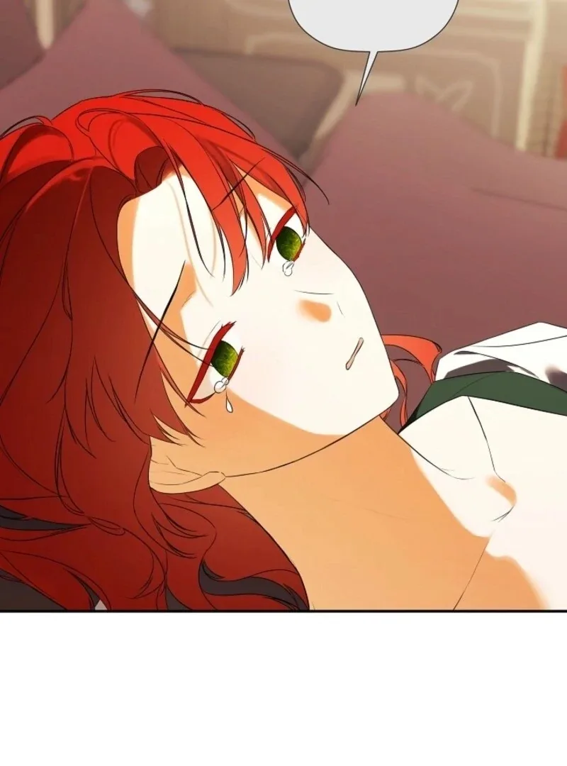 I Mistook the Hidden Identity of the Sub Male Lead Chapter 93 page 21