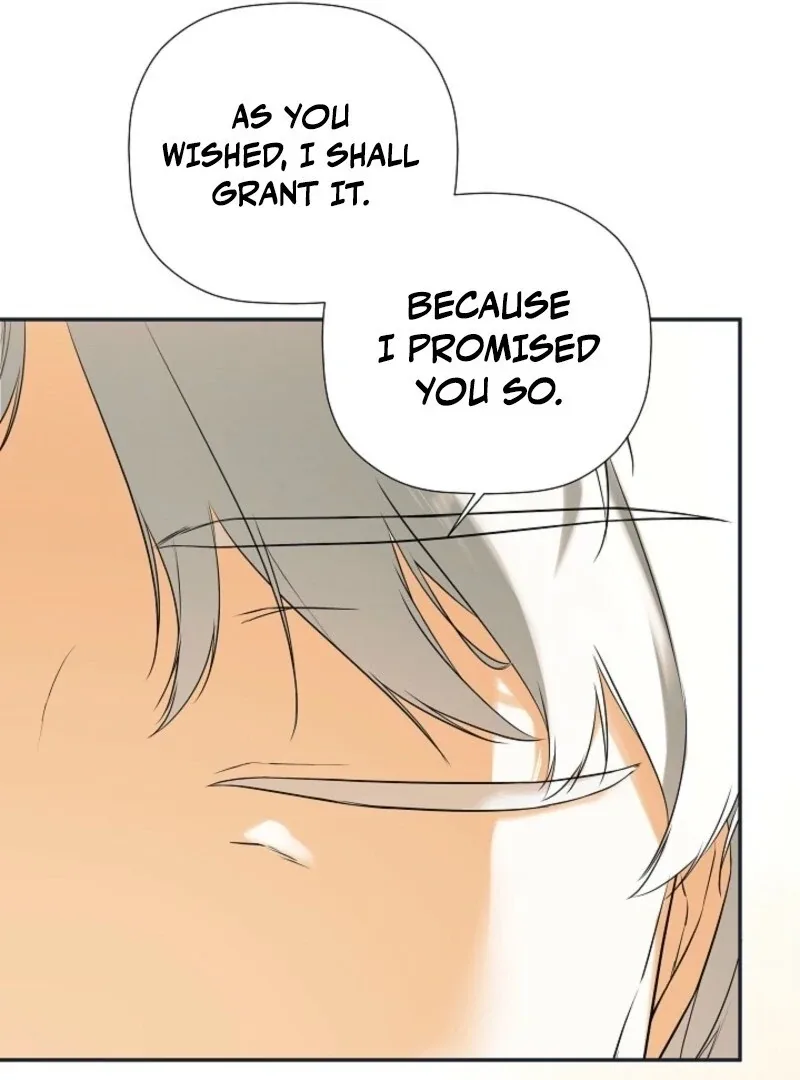 I Mistook the Hidden Identity of the Sub Male Lead Chapter 94 page 13
