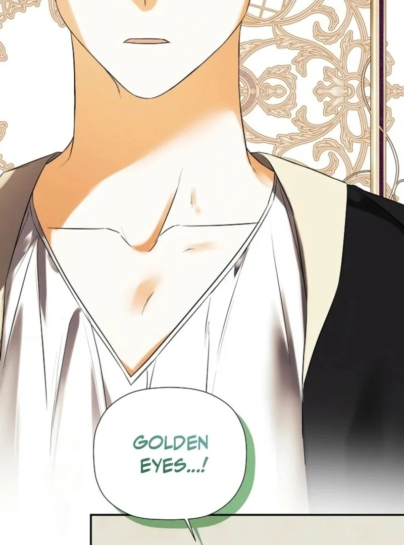 I Mistook the Hidden Identity of the Sub Male Lead Chapter 93 page 142