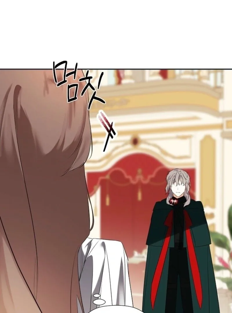 I Mistook the Hidden Identity of the Sub Male Lead Chapter 94 page 116