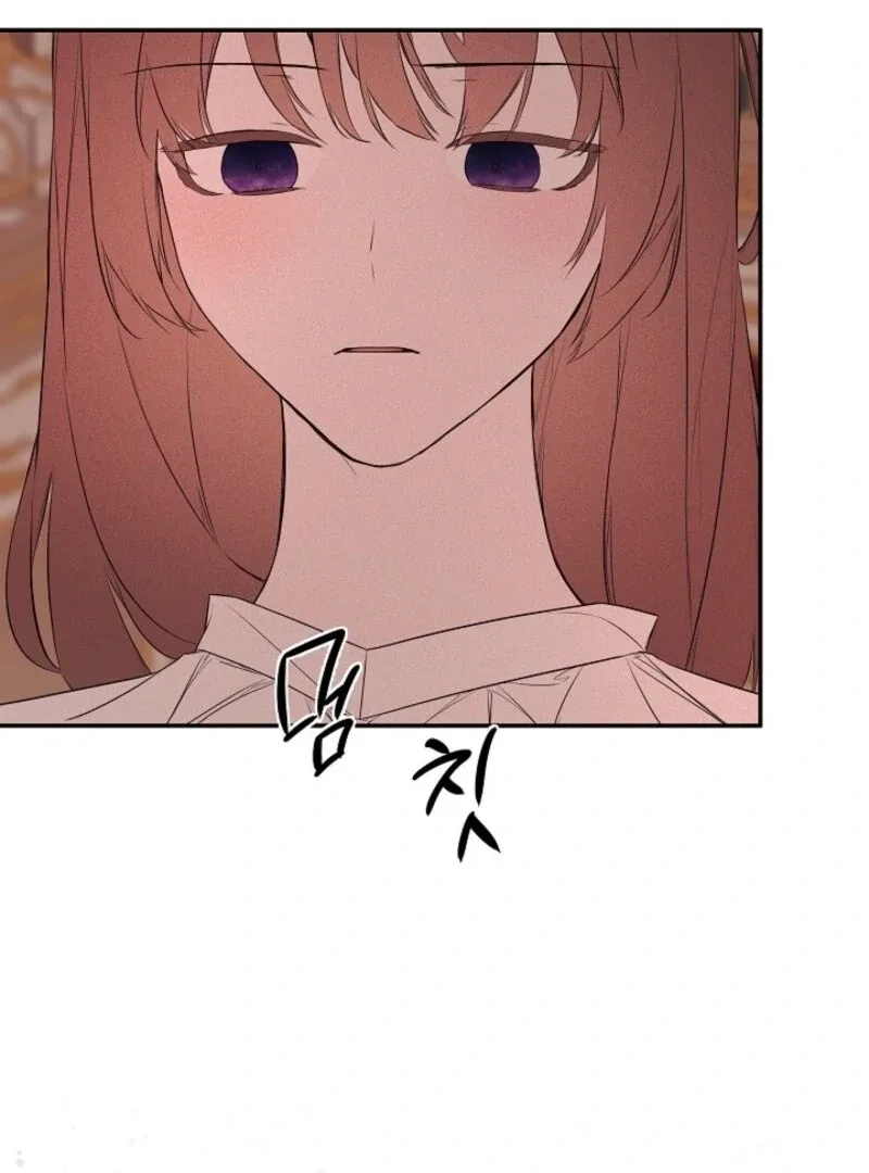 I Mistook the Hidden Identity of the Sub Male Lead Chapter 96 page 27