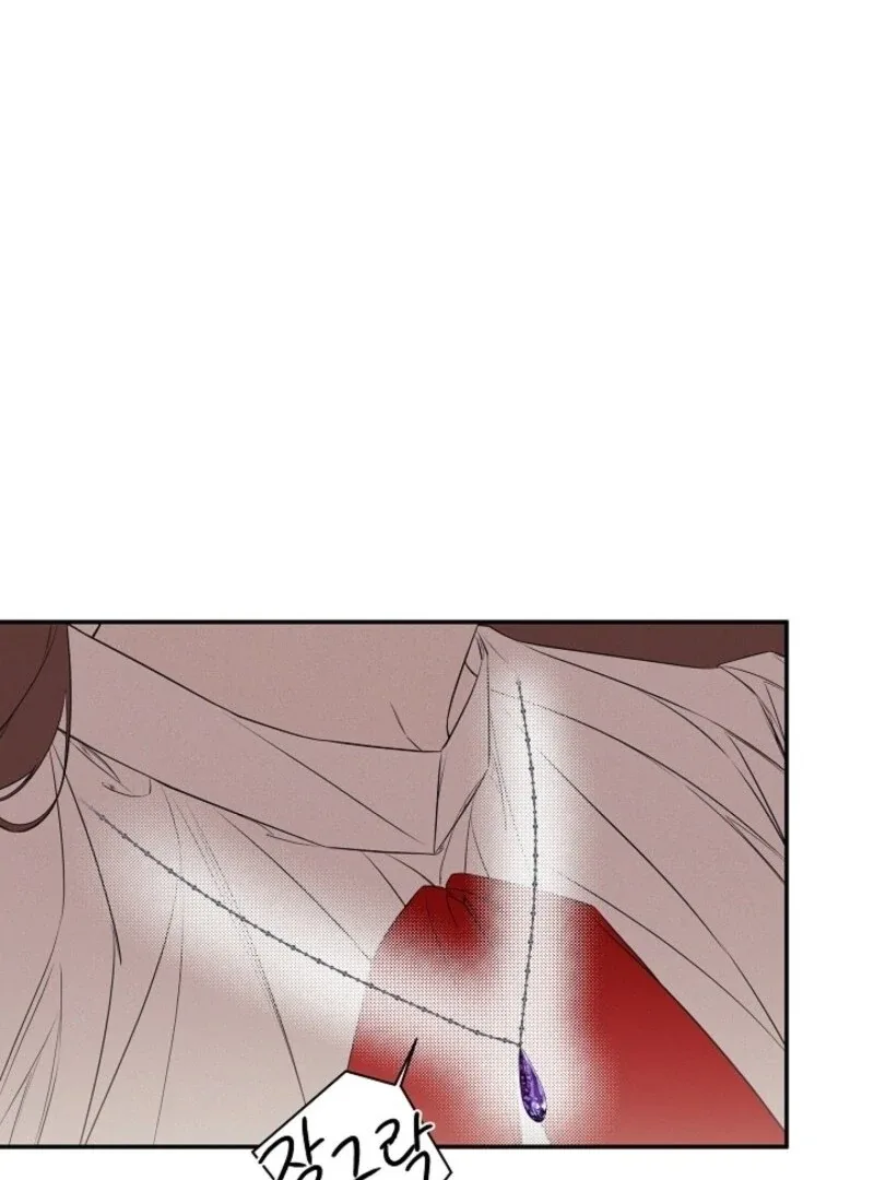 I Mistook the Hidden Identity of the Sub Male Lead Chapter 96 page 108