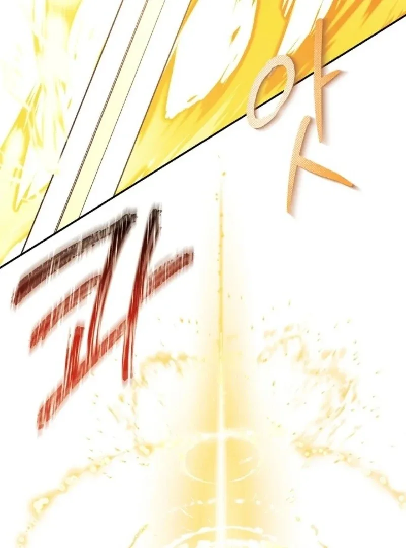 I Mistook the Hidden Identity of the Sub Male Lead Chapter 90 page 102