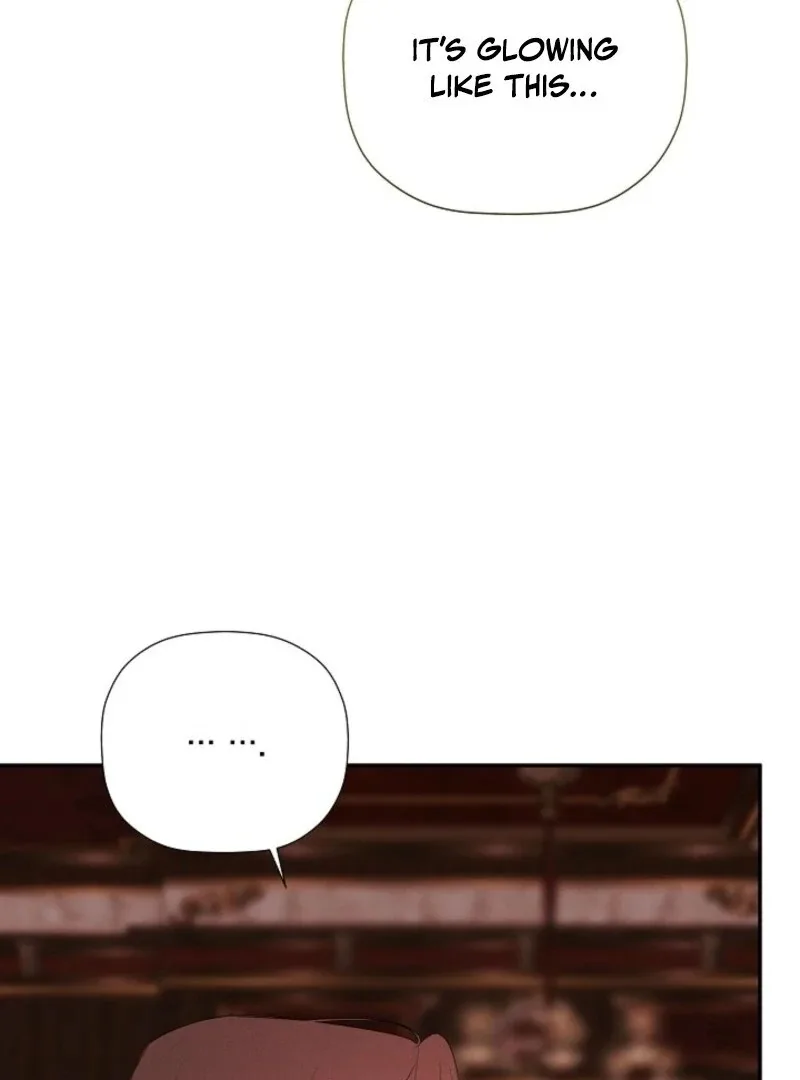 I Mistook the Hidden Identity of the Sub Male Lead Chapter 97 page 105