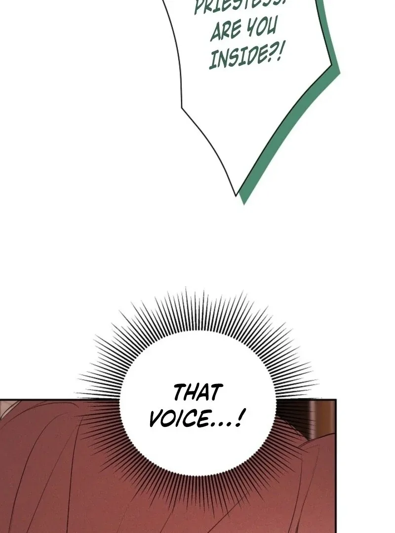 I Mistook the Hidden Identity of the Sub Male Lead Chapter 97 page 95