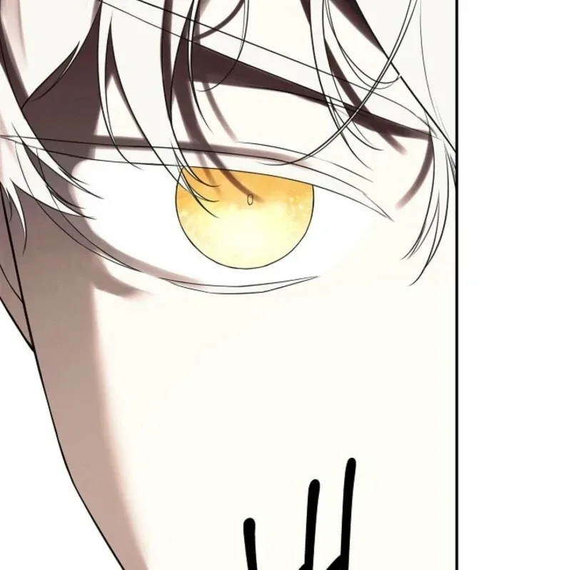 I Mistook the Hidden Identity of the Sub Male Lead Chapter 90 page 95