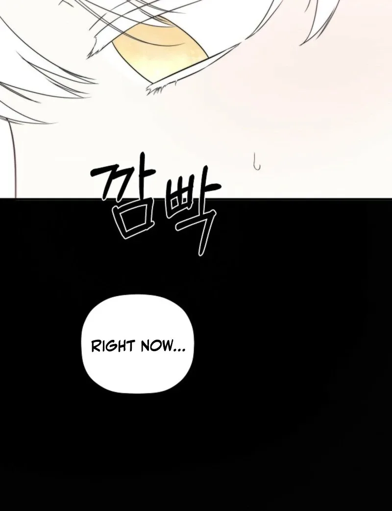 I Mistook the Hidden Identity of the Sub Male Lead Chapter 98 page 58
