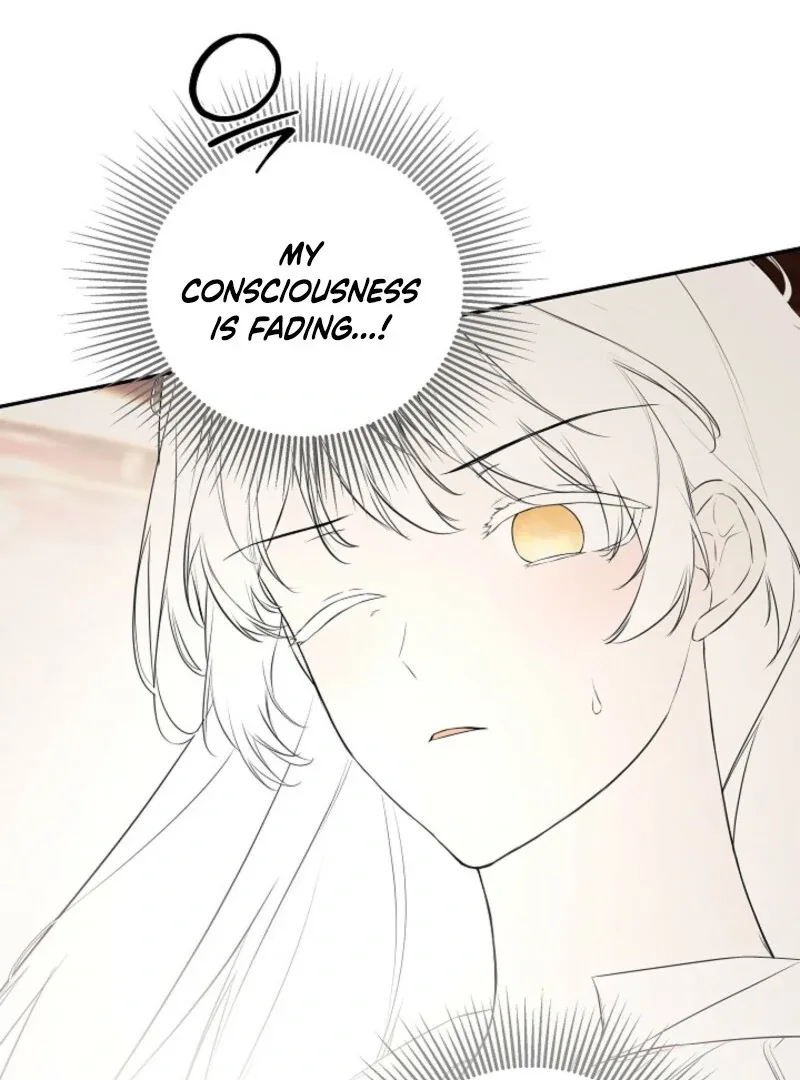 I Mistook the Hidden Identity of the Sub Male Lead Chapter 98 page 42