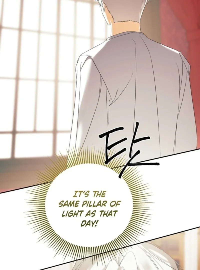 I Mistook the Hidden Identity of the Sub Male Lead Chapter 99 page 94