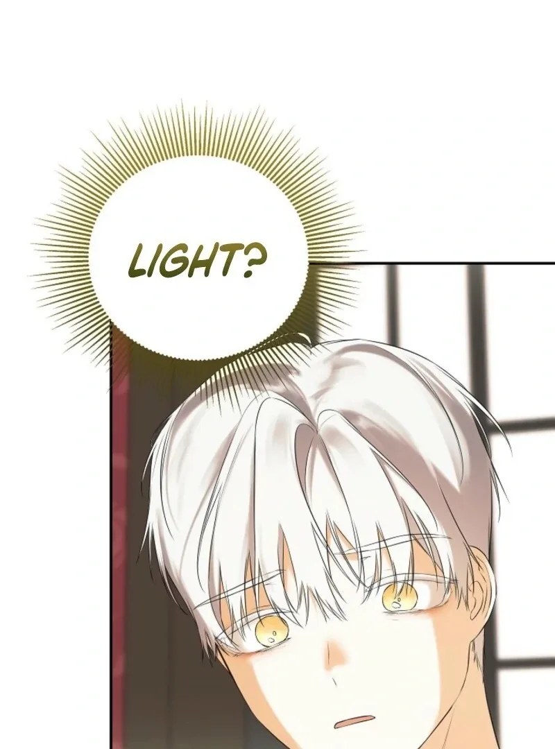I Mistook the Hidden Identity of the Sub Male Lead Chapter 99 page 91
