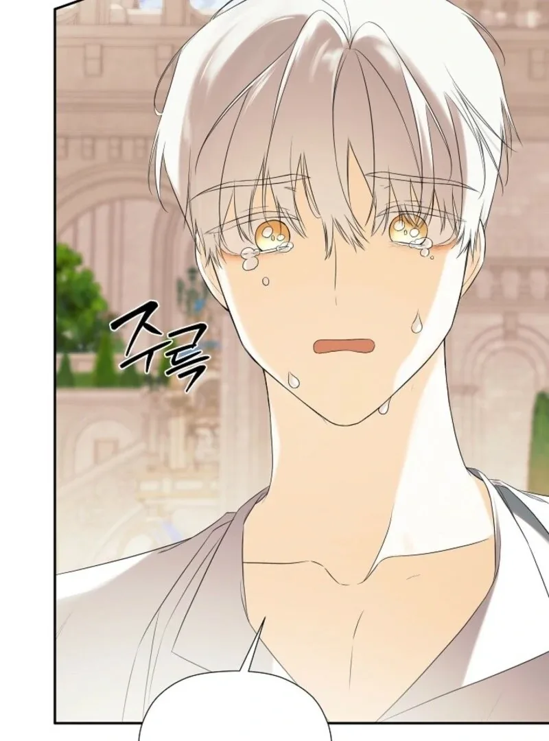 I Mistook the Hidden Identity of the Sub Male Lead Chapter 99 page 119
