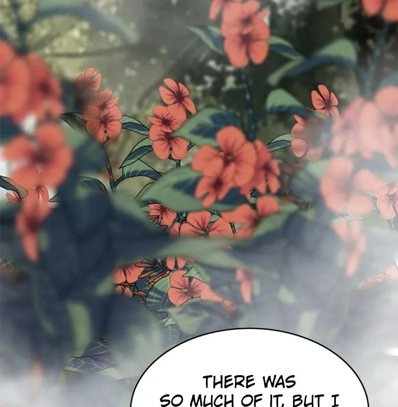 I Need Someone to Stop My Older Brothers Chapter 24 page 68