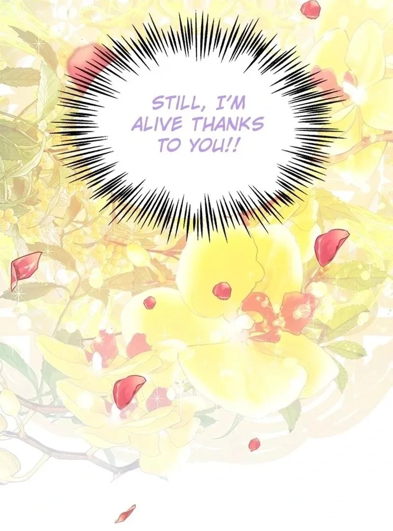 I Need Someone to Stop My Older Brothers Chapter 37 page 42