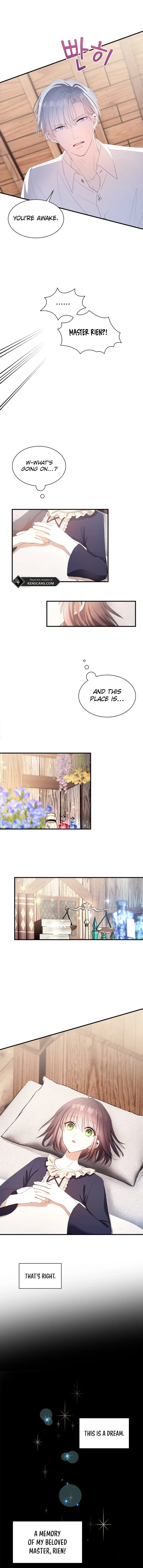 I Need Someone to Stop My Older Brothers Chapter 43 page 8