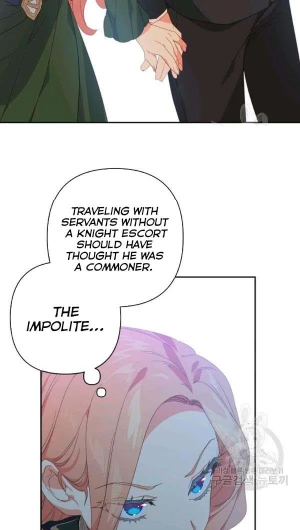 I Raised an Obsessive Servant Chapter 27 page 49