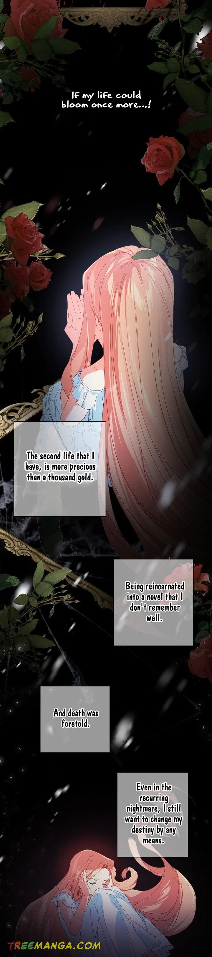 I Raised an Obsessive Servant Chapter 42 page 6