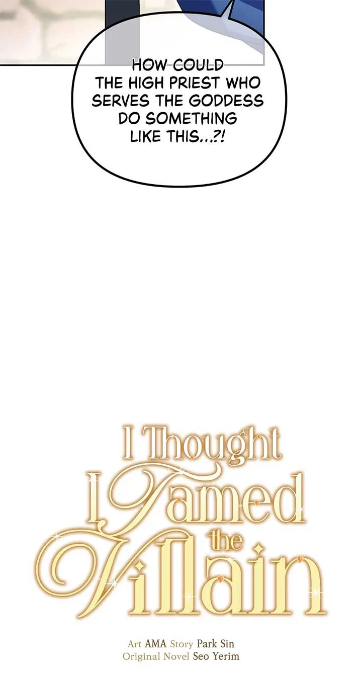 I Thought I Tamed the Villain Chapter 41 page 30