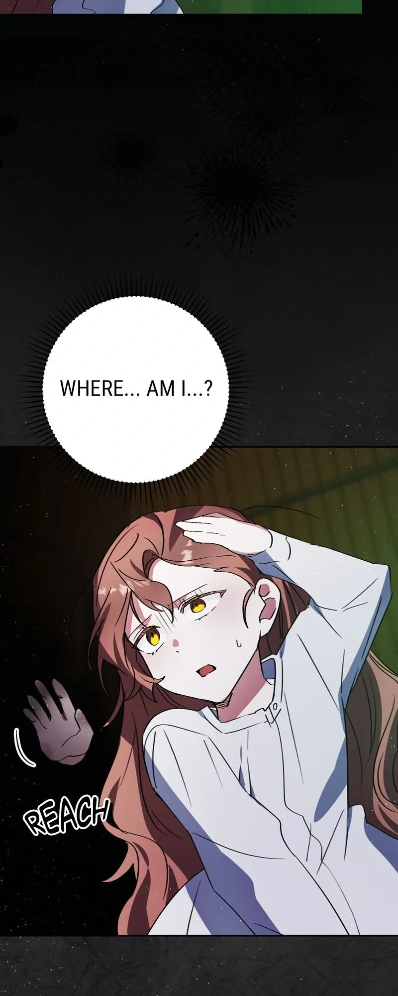 I Thought I was the Real Daughter Chapter 49 page 15