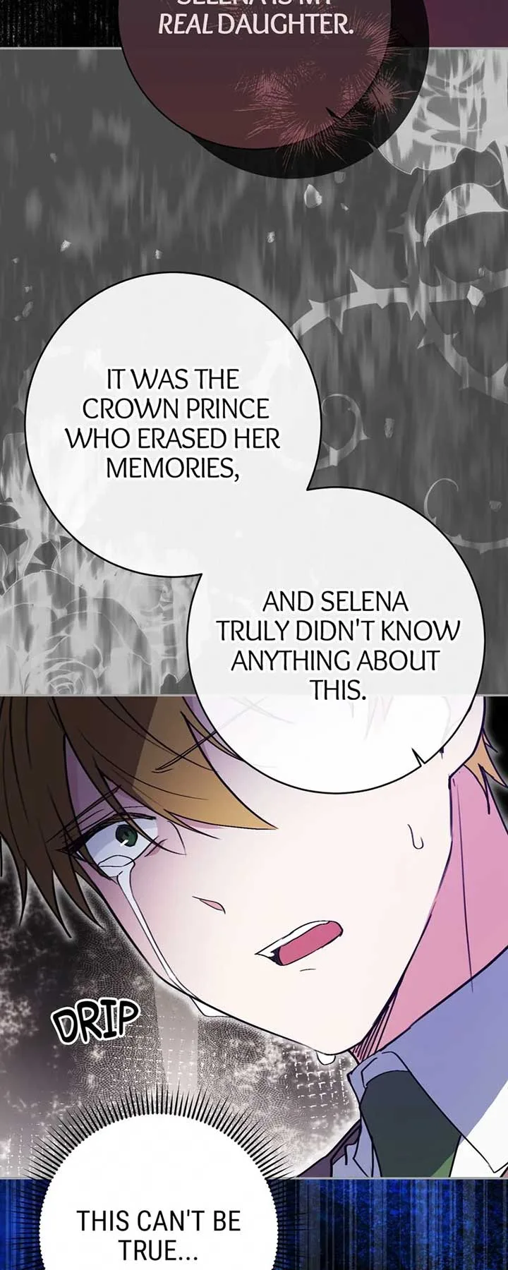 I Thought I was the Real Daughter Chapter 52 page 47