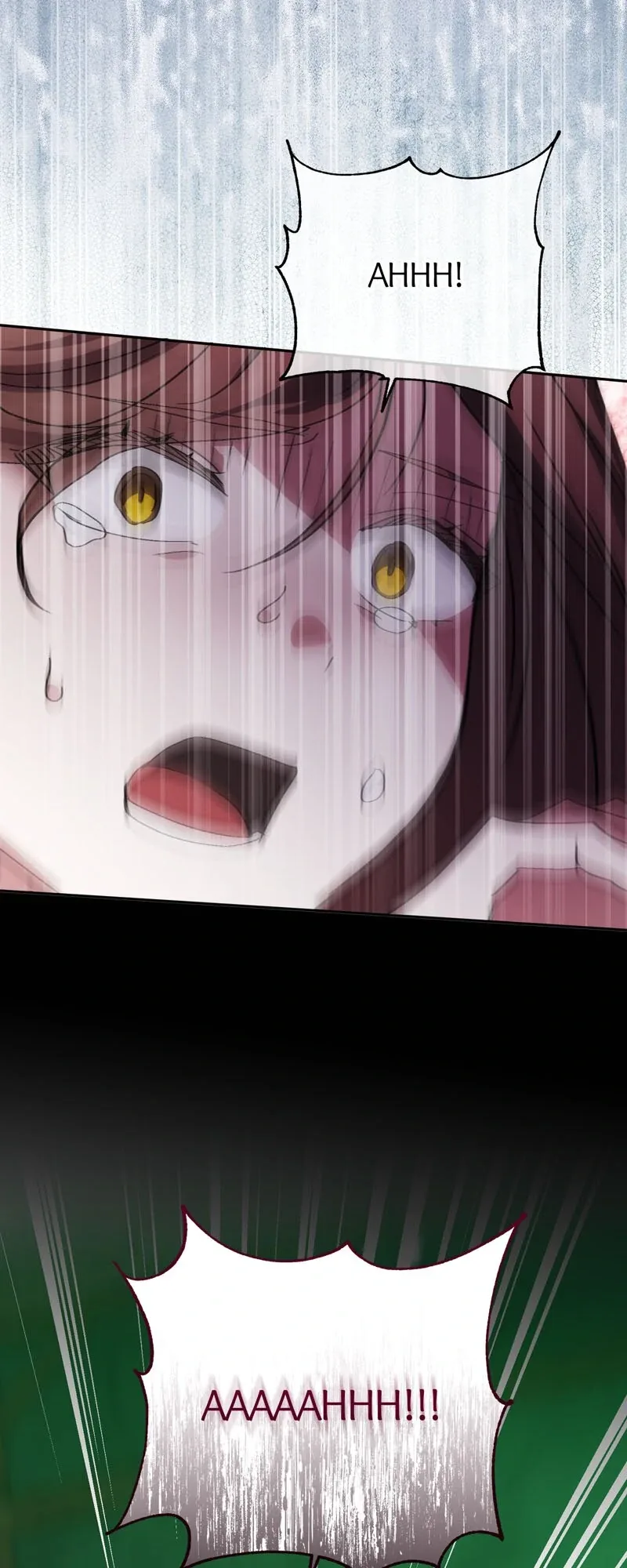 I Thought I was the Real Daughter Chapter 48 page 65