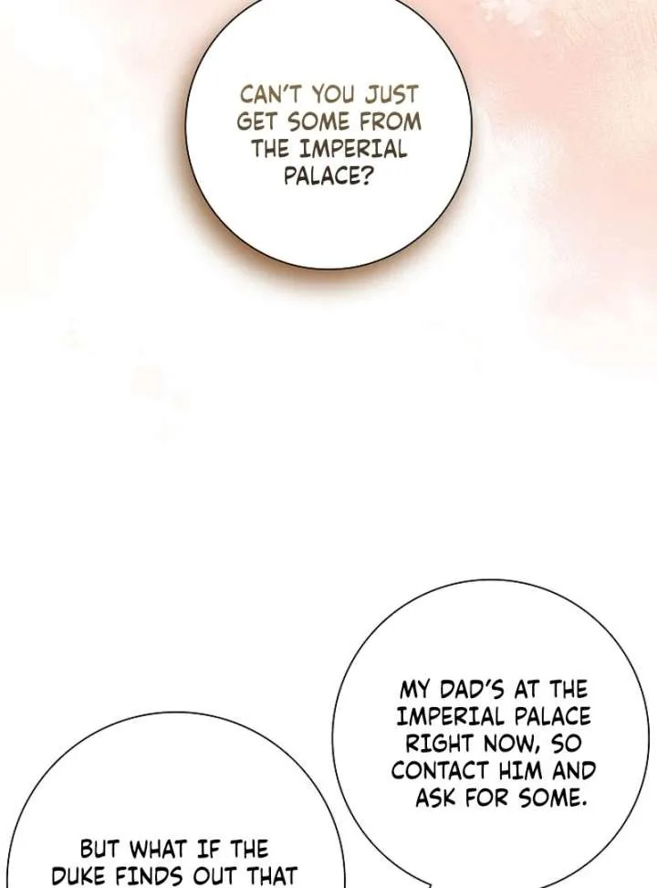 I Tried to Twist the Original Story But Ended Up Seducing the Northern Duke Chapter 27 page 82