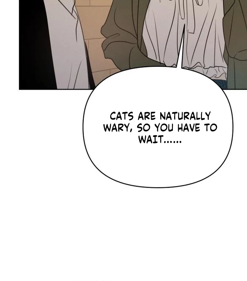 I Want To Be Fooled Chapter 21 page 47