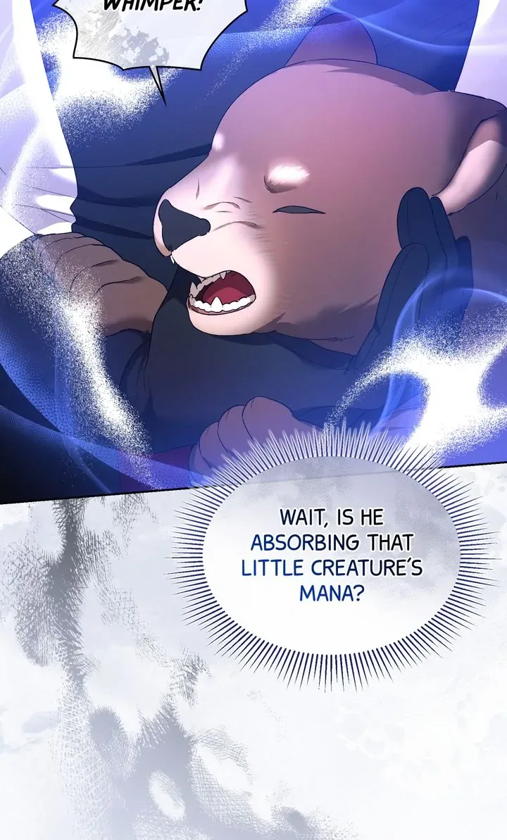 I Want To Become The Emperor, So I Need A Divorce Chapter 58 page 71